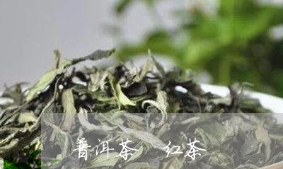 普洱茶 红茶/2023042978636